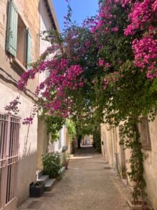My French Odyssey — Part 2: Adaptation